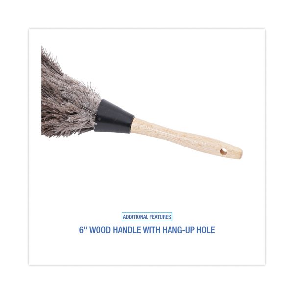 Professional Ostrich Feather Duster, Gray, 14  Length, 6  Handle For Cheap - Image 3
