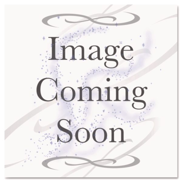 Advantus Flat Clip Lanyard - 100   Box - 36  Length - Blue - Woven, Metal Online - Image 4